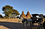 Bagan Myanmar. View of the various stupas close to Buledi. 